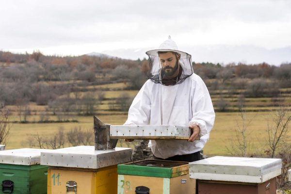 medium-shot-man-working-with-bees